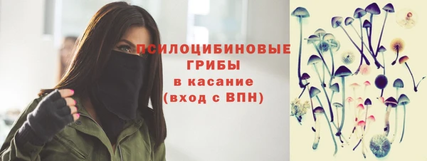 винт Осинники