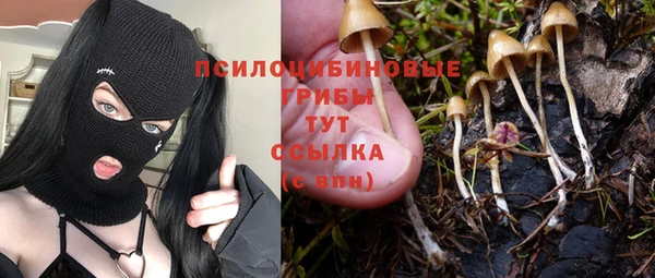 стафф Баксан