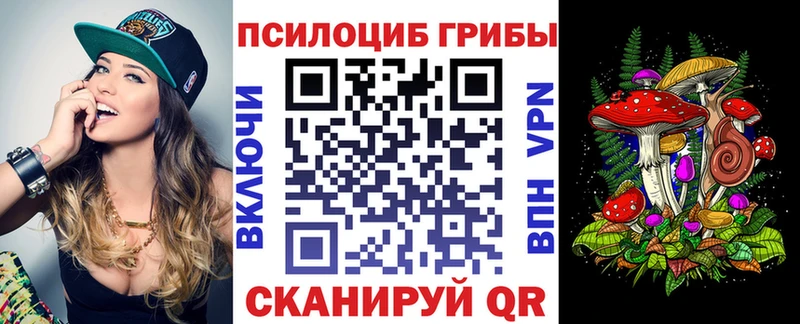 Галлюциногенные грибы мухоморы  где купить наркоту  Мценск 